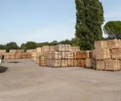 Zentrales Brennholz